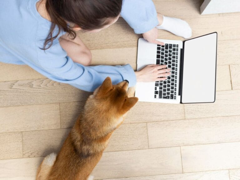 online vet consultations