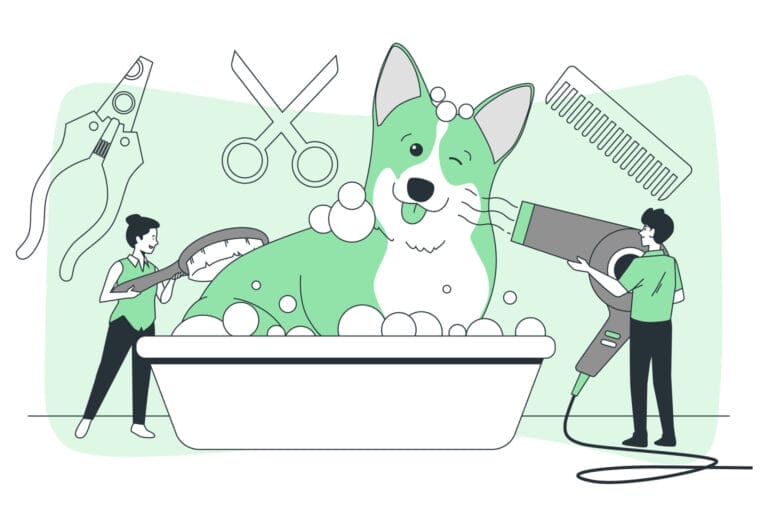 Blog 28 grooming tips for dogs