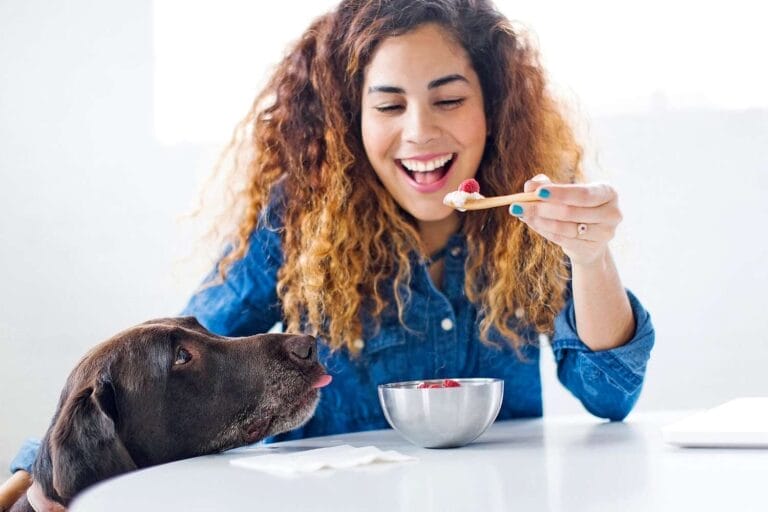 Blog 27 can dogs have yogurt