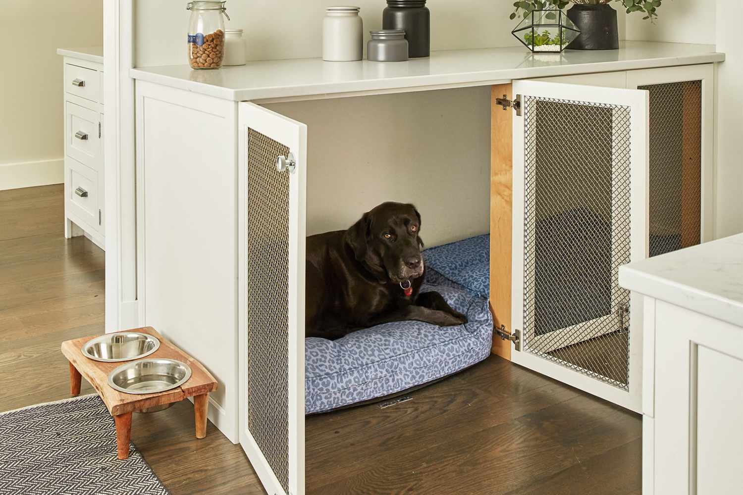 dog crate