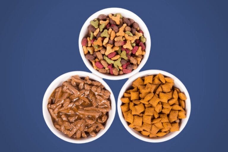 types of dog food